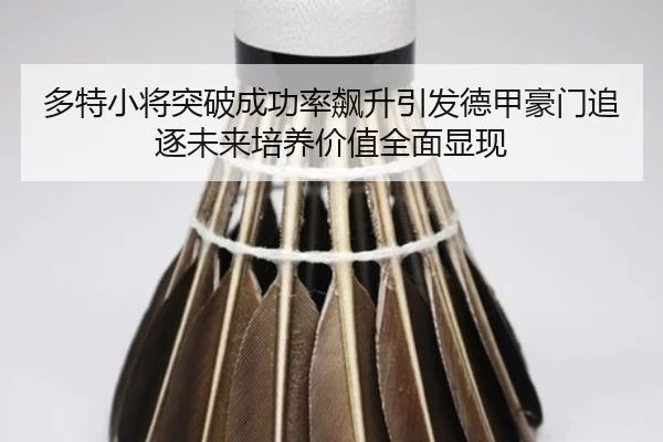 多特小将突破成功率飙升引发德甲豪门追逐未来培养价值全面显现 | c7c7